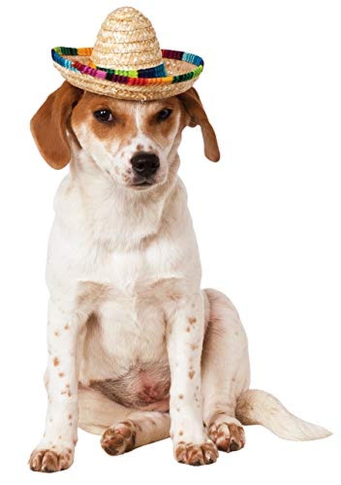 Rubie's Official Sombrero Pet Dog Costume Halloween Halloween