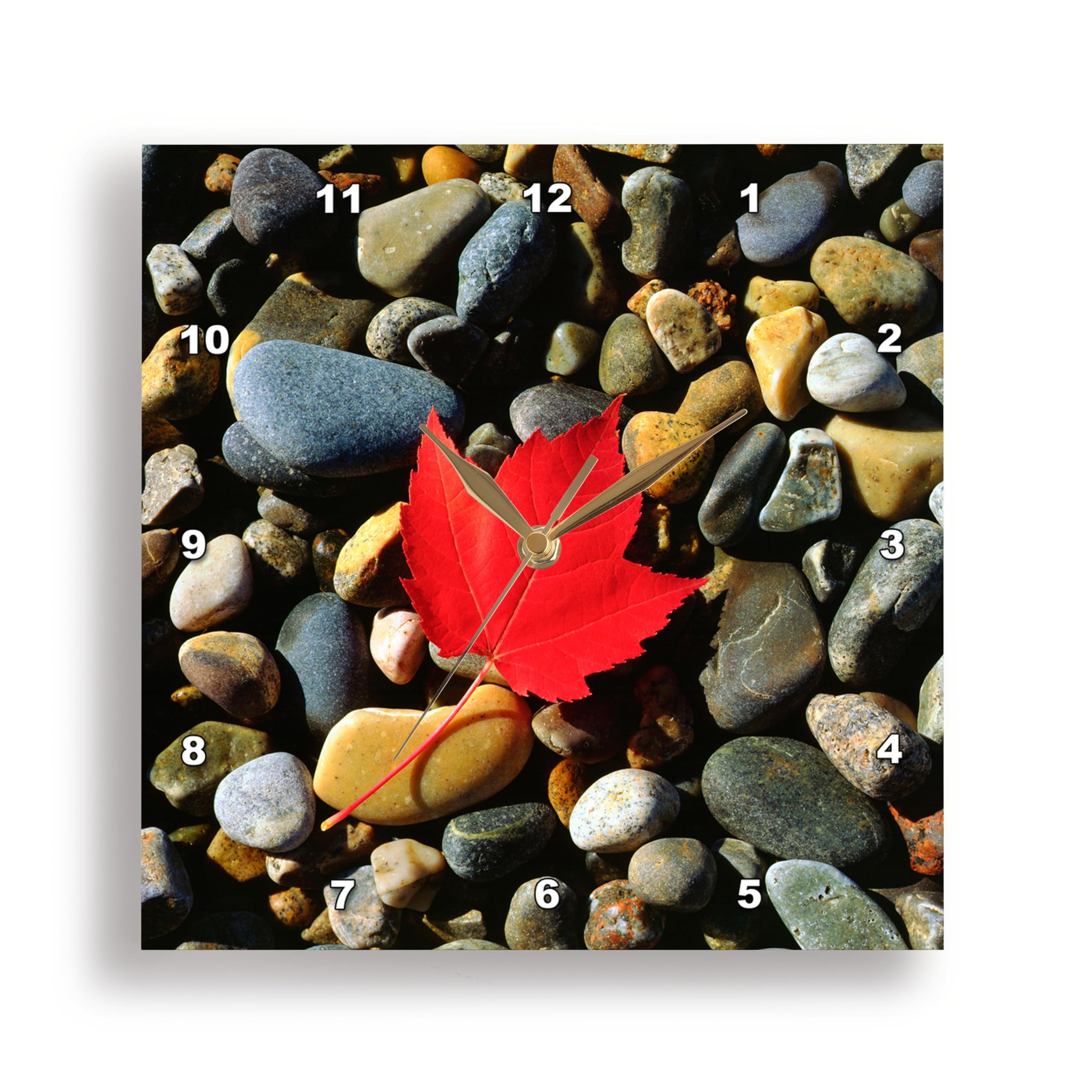 3dRose USA, Maine, a Maple Leaf on a Rock Background Wall Clock, Aluminum, Multi-Colour, 15 x 15-Inch