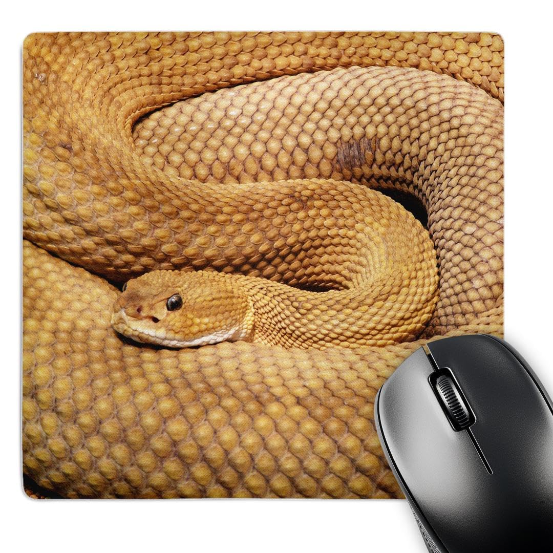 3dRose mp_220694_1 8" x 8" Snake. Basilisk Rattlesnake. Wildlife. Mouse Pad