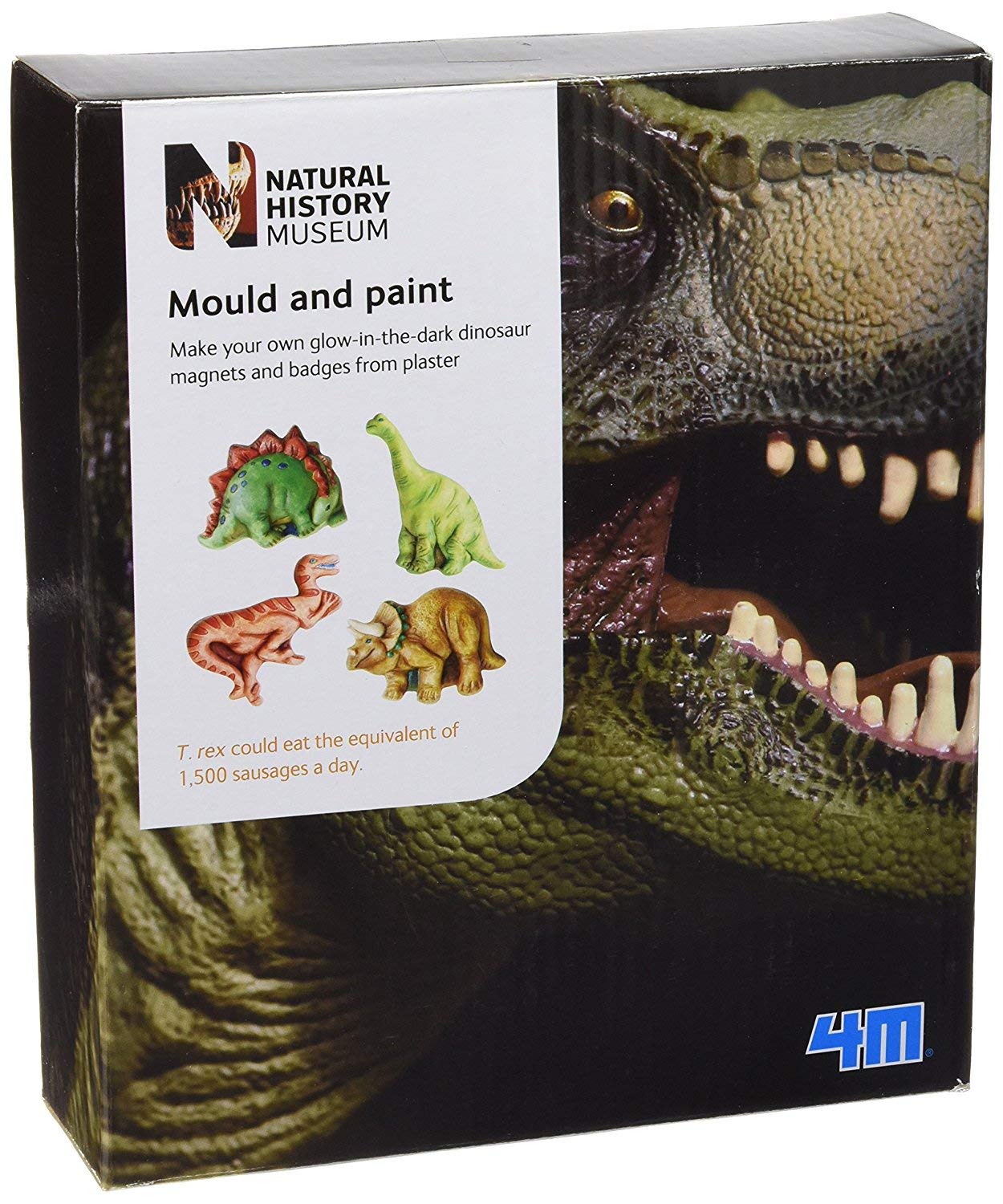 Natural History Museum Dinosaur Mould and Paint