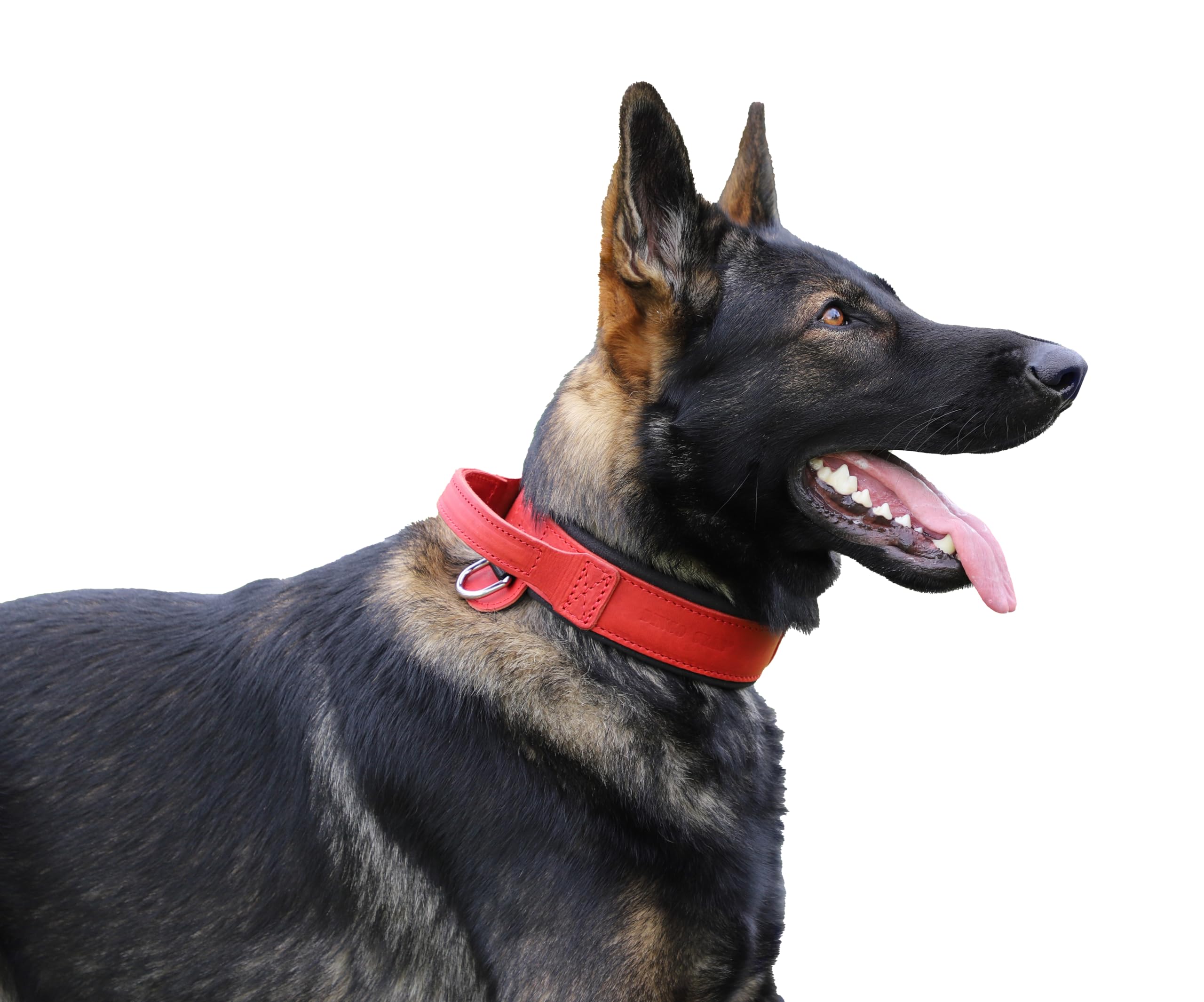 DINGO GEAR Drago Leather Dog Collar, Amortized with Strong Wide Handle, Handmade, Neck Girth 56-64 cm, for Training and Walks, Pull Protection, Soft Padding, Red (S03921)