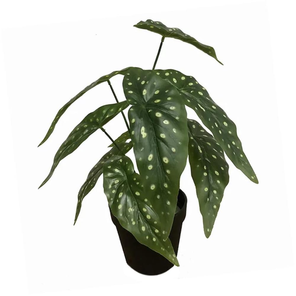Leaf Design UK Realistic Artificial Foliage Plant with Pot, Begonia Maculata Black, 35cm