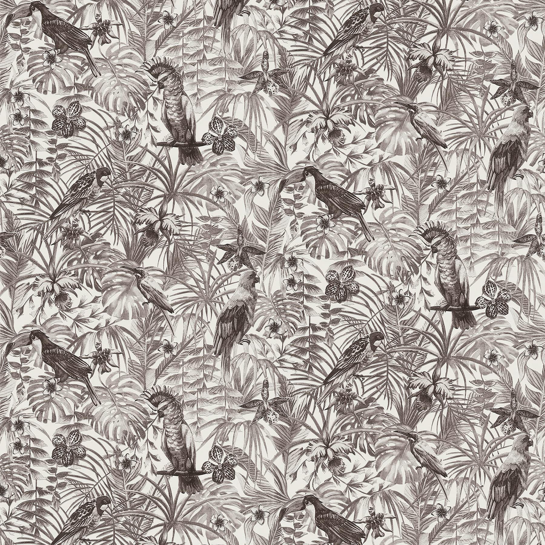 A.S. Création Jungle Greenery Non-Woven Wallpaper 10.05 m x 0.53 m Black White Grey Made in Germany 2979-37210-5