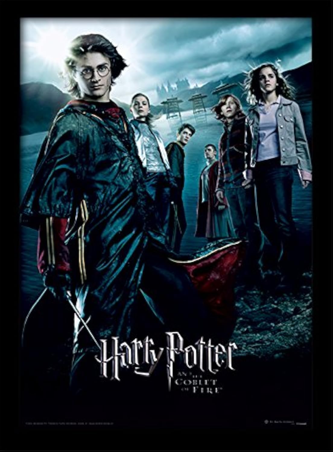 Harry Potter FP10686P-PL "Goblet of Fire" Framed Print, 30 x 40 cm