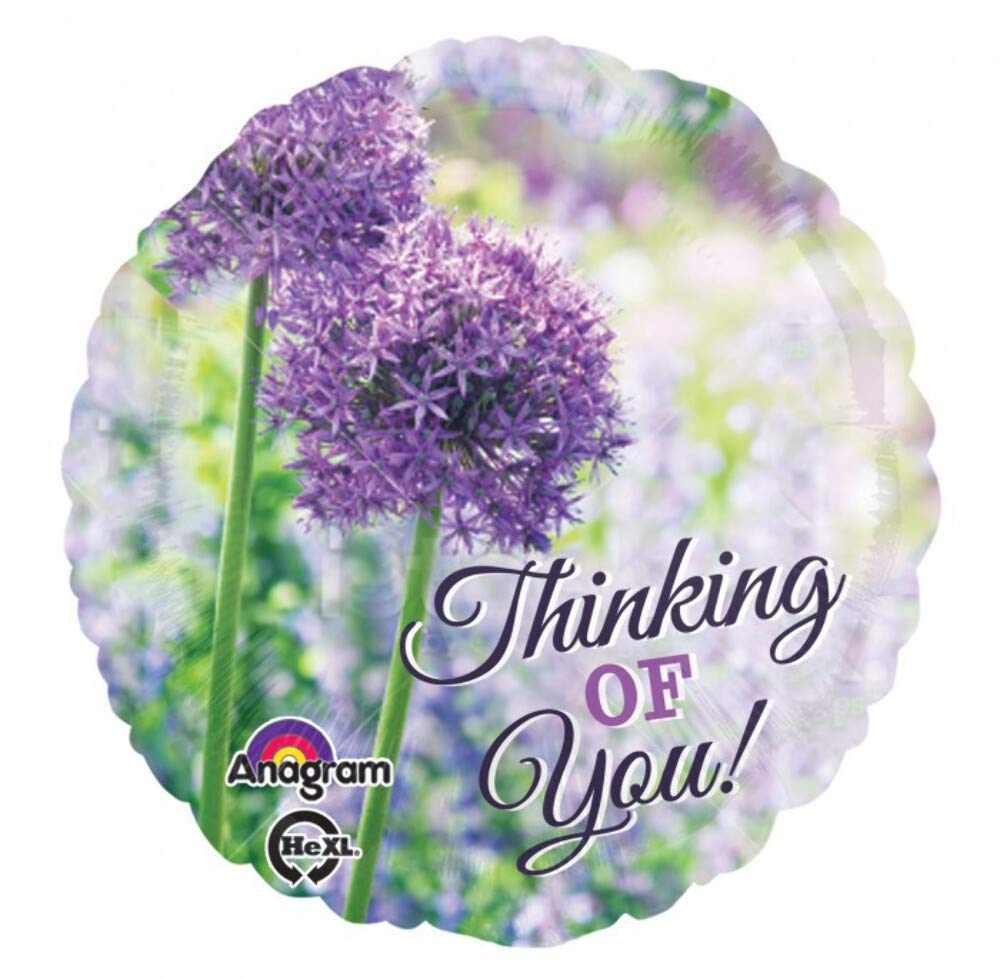Amscan Standard-C:Thinking of You Allium