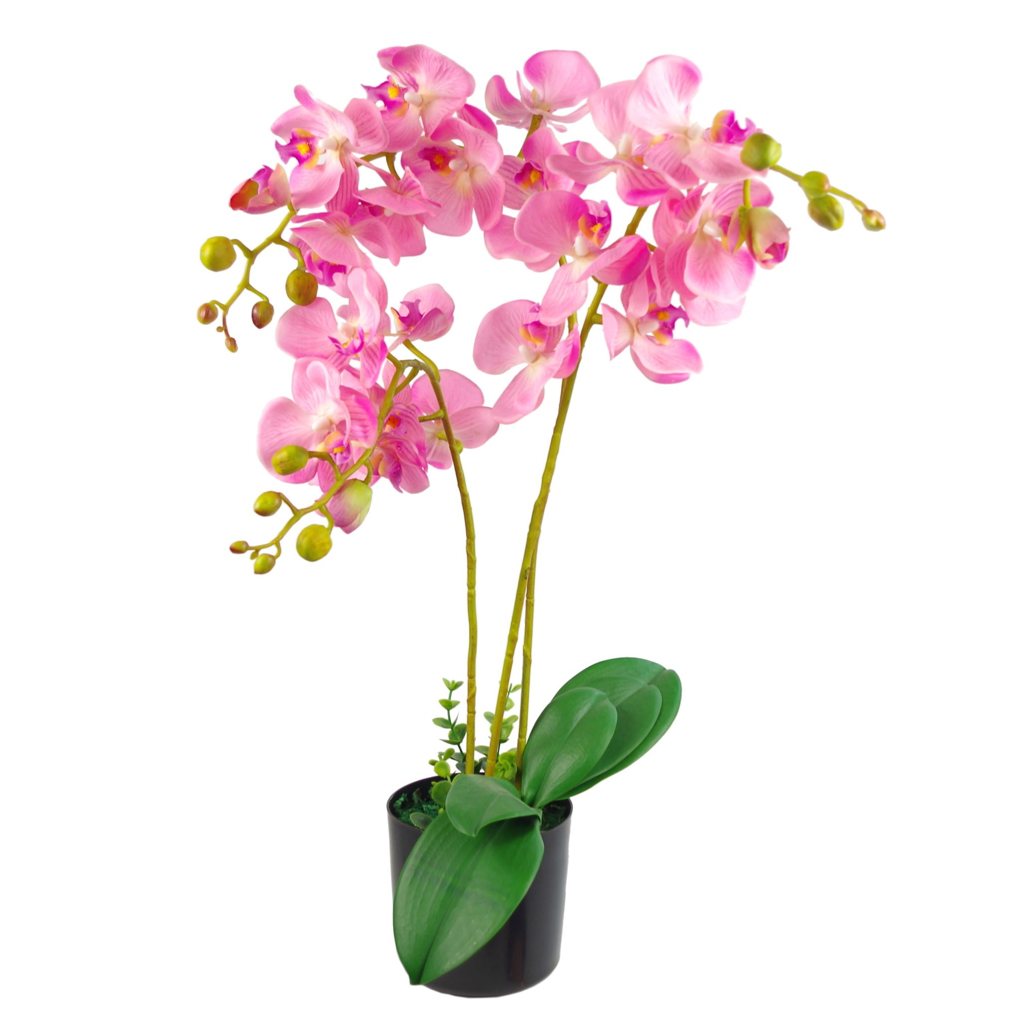Leaf Design UK Realistic Artificial Orchid Flower Display in Pot, Light Pink, 60cm