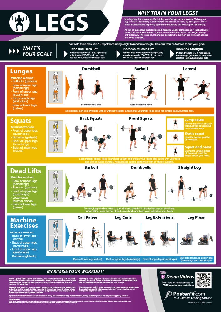 Legs Exercise | Full Legs Workout | Improves Strength Training | Laminated Gym and Home Poster | Includes Online Video Training Support | Size - 841mm x 594mm (A1) | Improves Personal Fitness