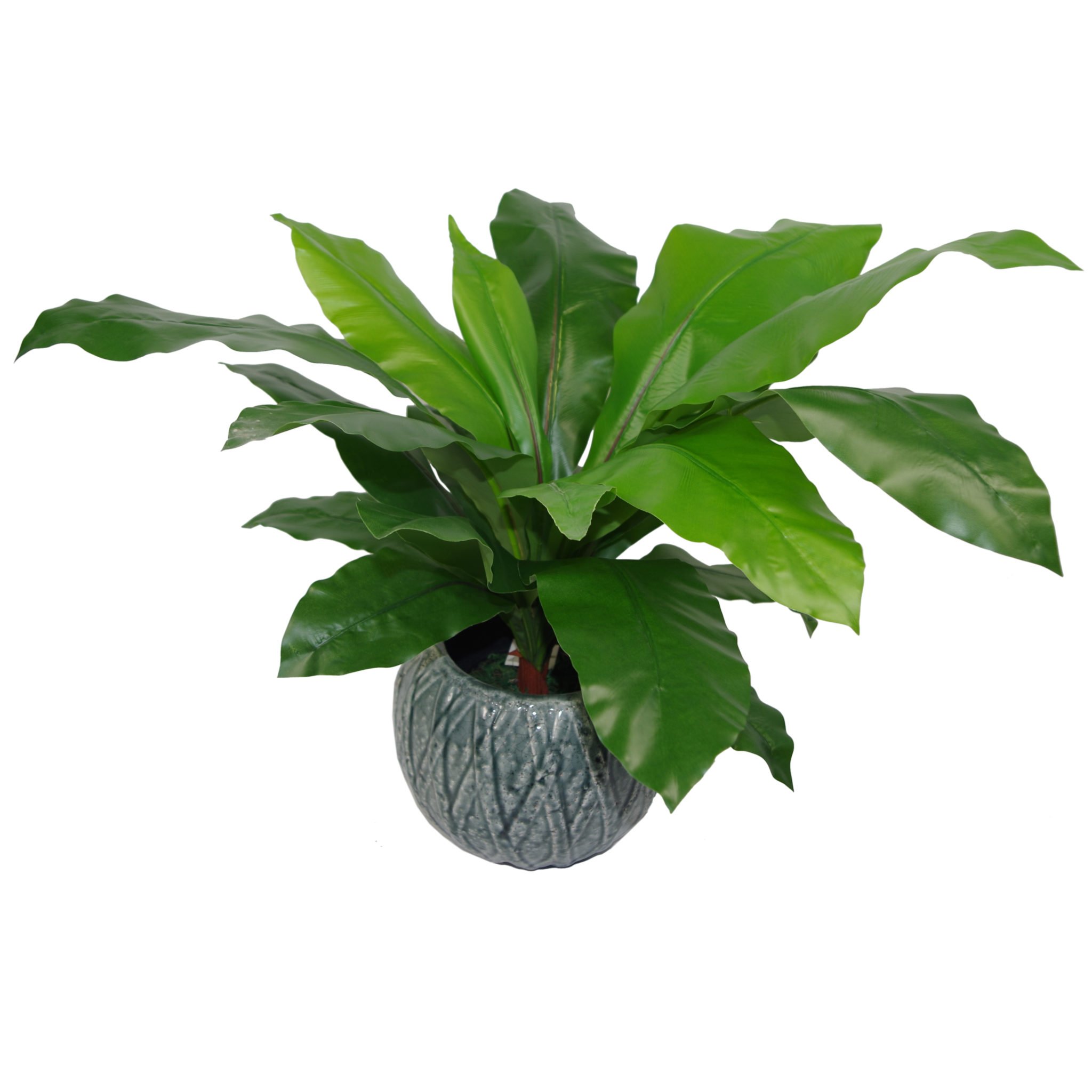 Leaf Artificial Bird Nest Fern, 60cm