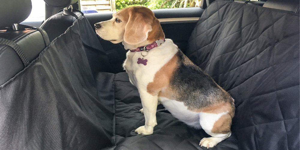 HandiWorld Dog Seat Cover