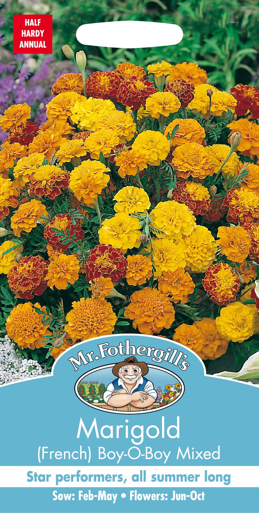 Mr. Fothergill's 12442 Marigold French Boy-O-Boy Mixed Flower Seeds, bicolour