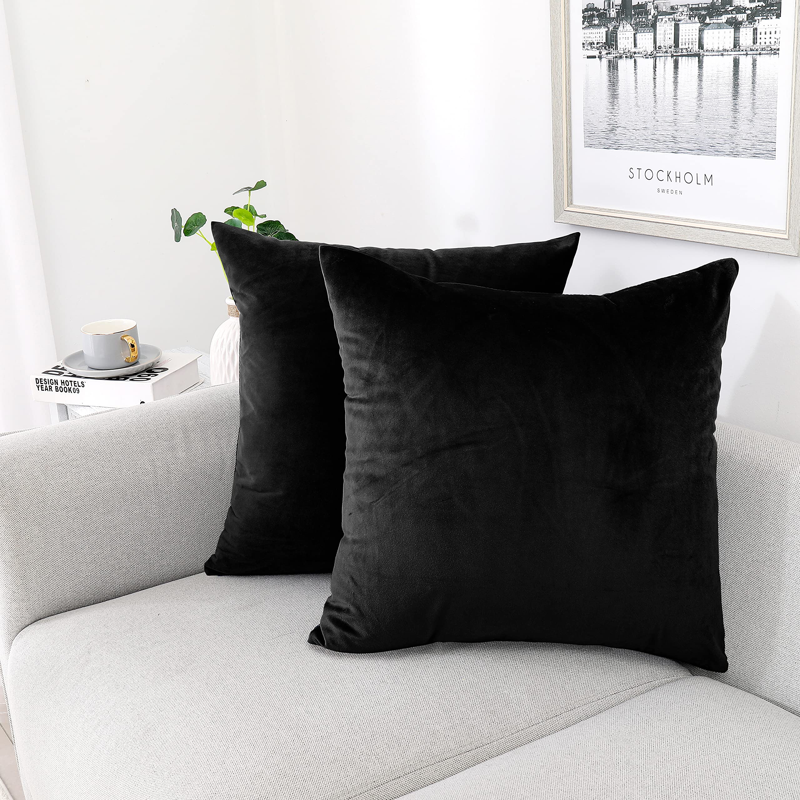 NiNi ALL Decorative Throw Pillow Covers Velvet Soft Solid for Couch Sofa Bedroom Living Room Spring Outdoor Pack of 2 20x20 Inch Black
