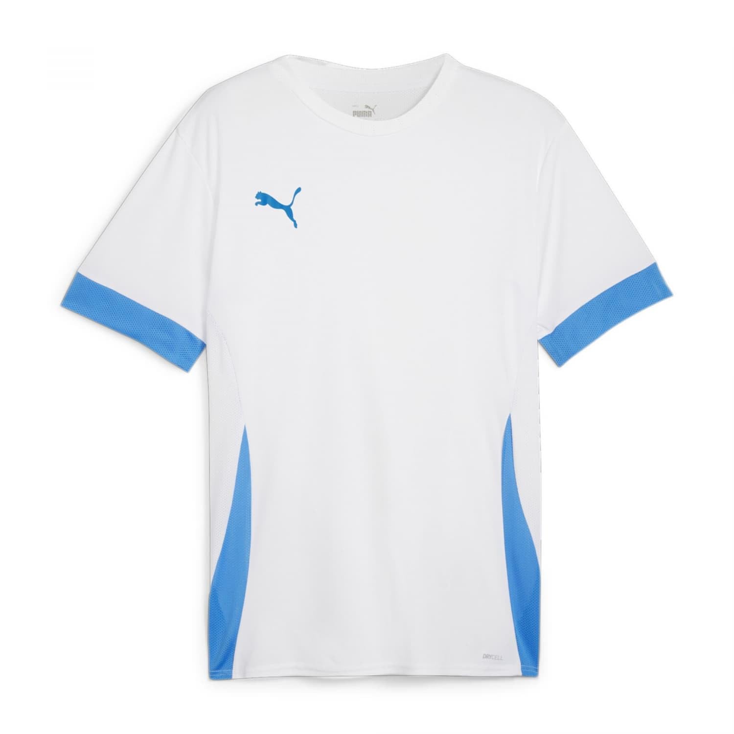 PUMA teamGOAL Matchday Jersey