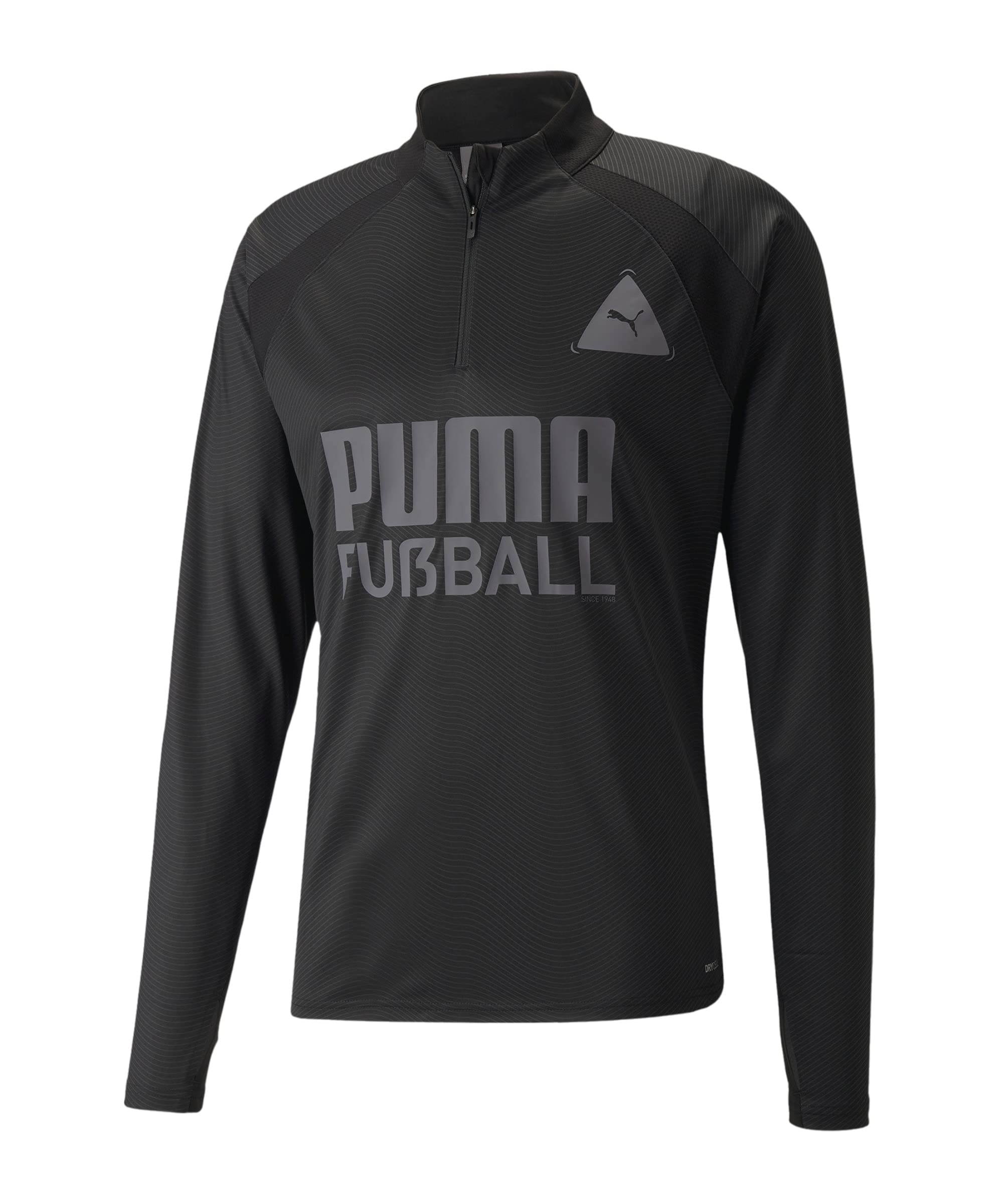 PUMA FUßBALL Park Training Top