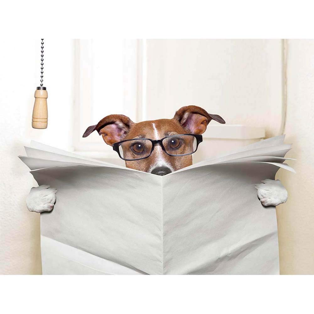 Wee Blue Coo Photo Mock Up Jack Russell Toilet Reading Newspaper Affiche Art Print Poster Wall Decor 12X16 Inch