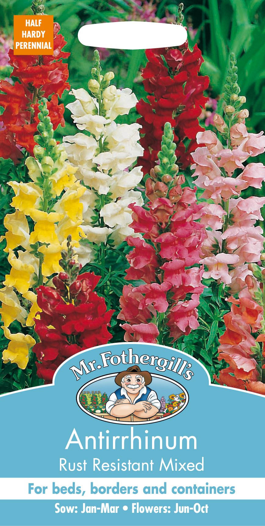 Mr Fothergill's 11501 ANTIRRHINUM Rust Resistant Mixed