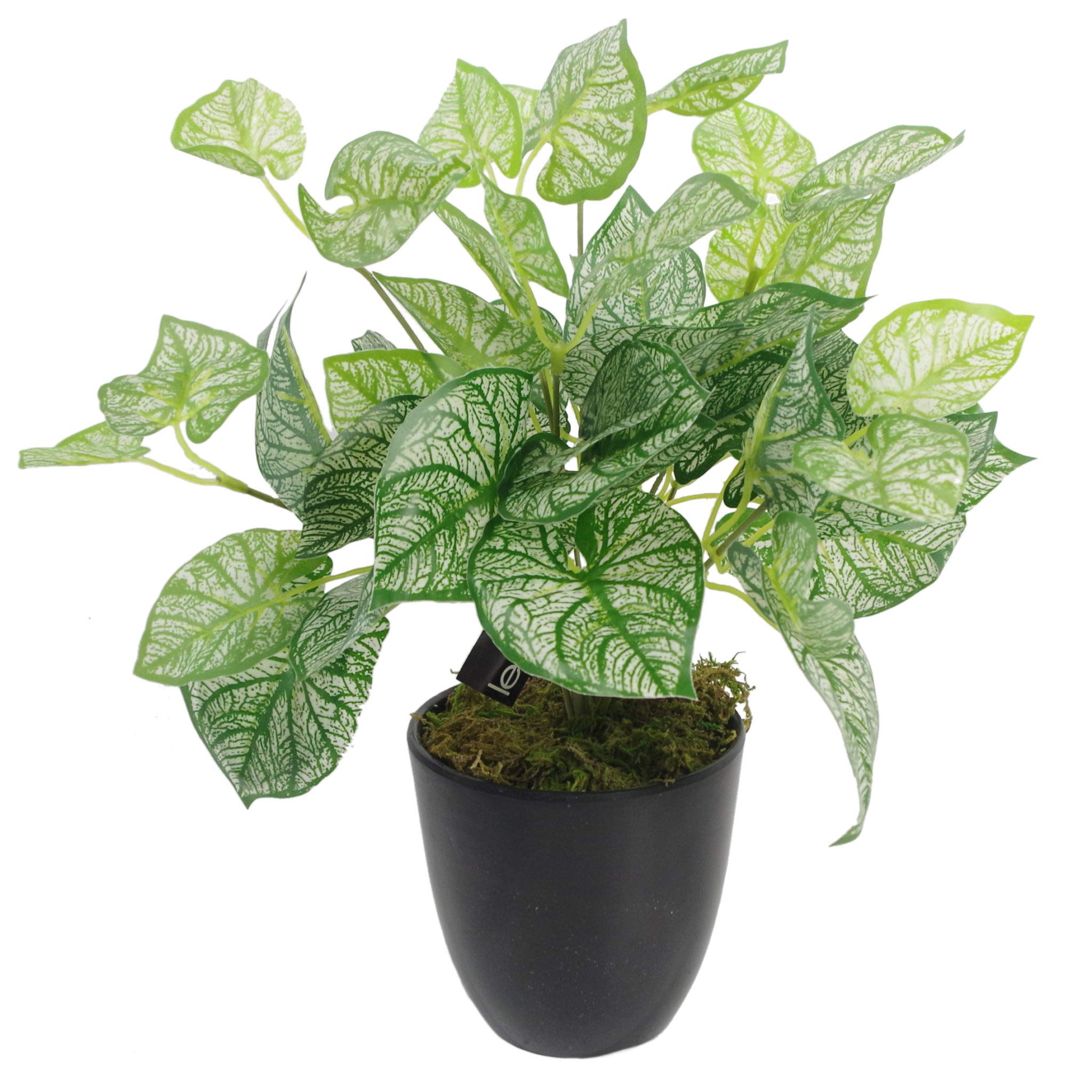 Leaf Design UK Realistic Artificial Foliage Plant with Pot, 40cm