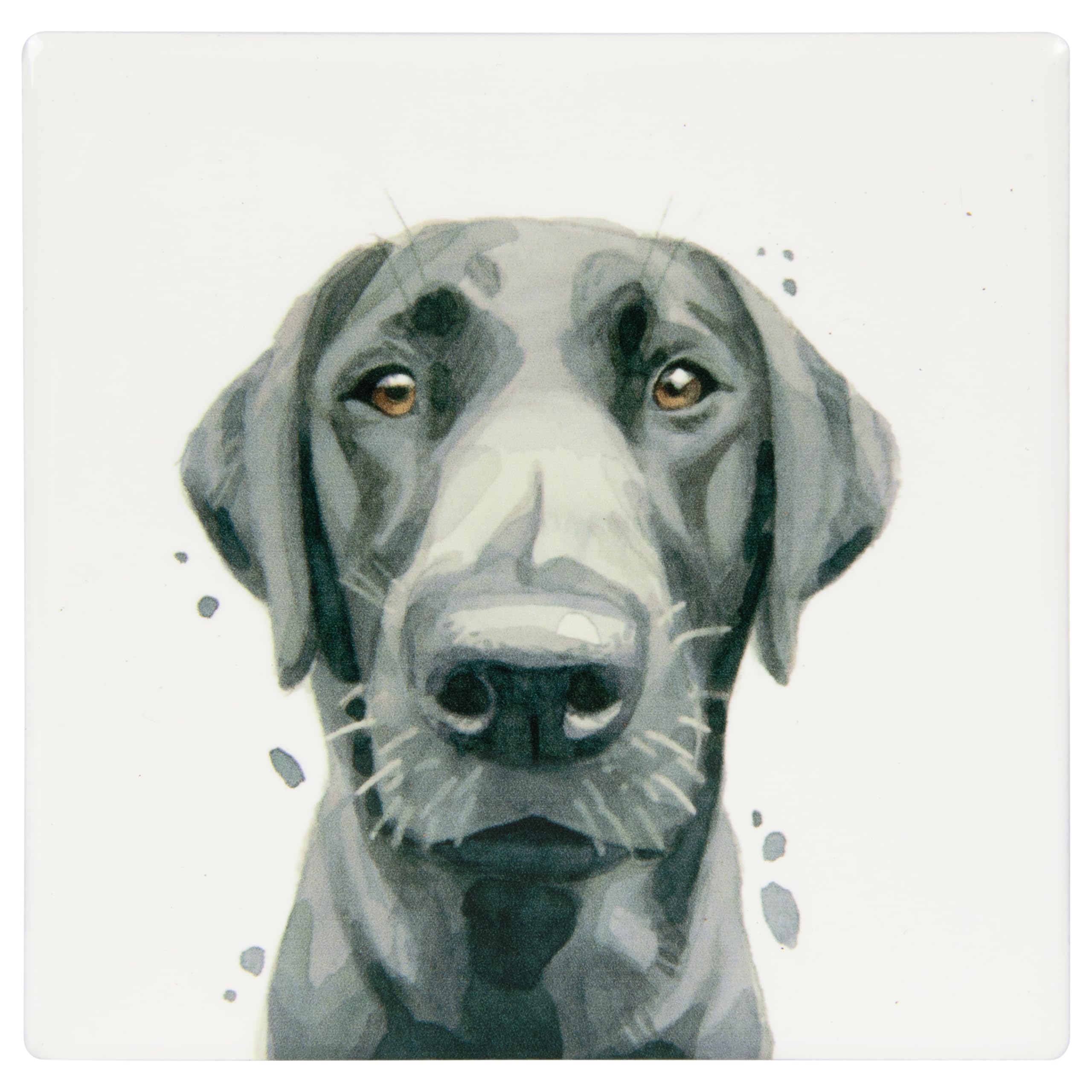 Lesser & Pavey Black Labrador Coaster Robert James Hull For Home & Office | Stylish Coasters For Kitchen & Dining | Durable Drinks Coasters For Tabletops | Decorative Home Accessories for Tables