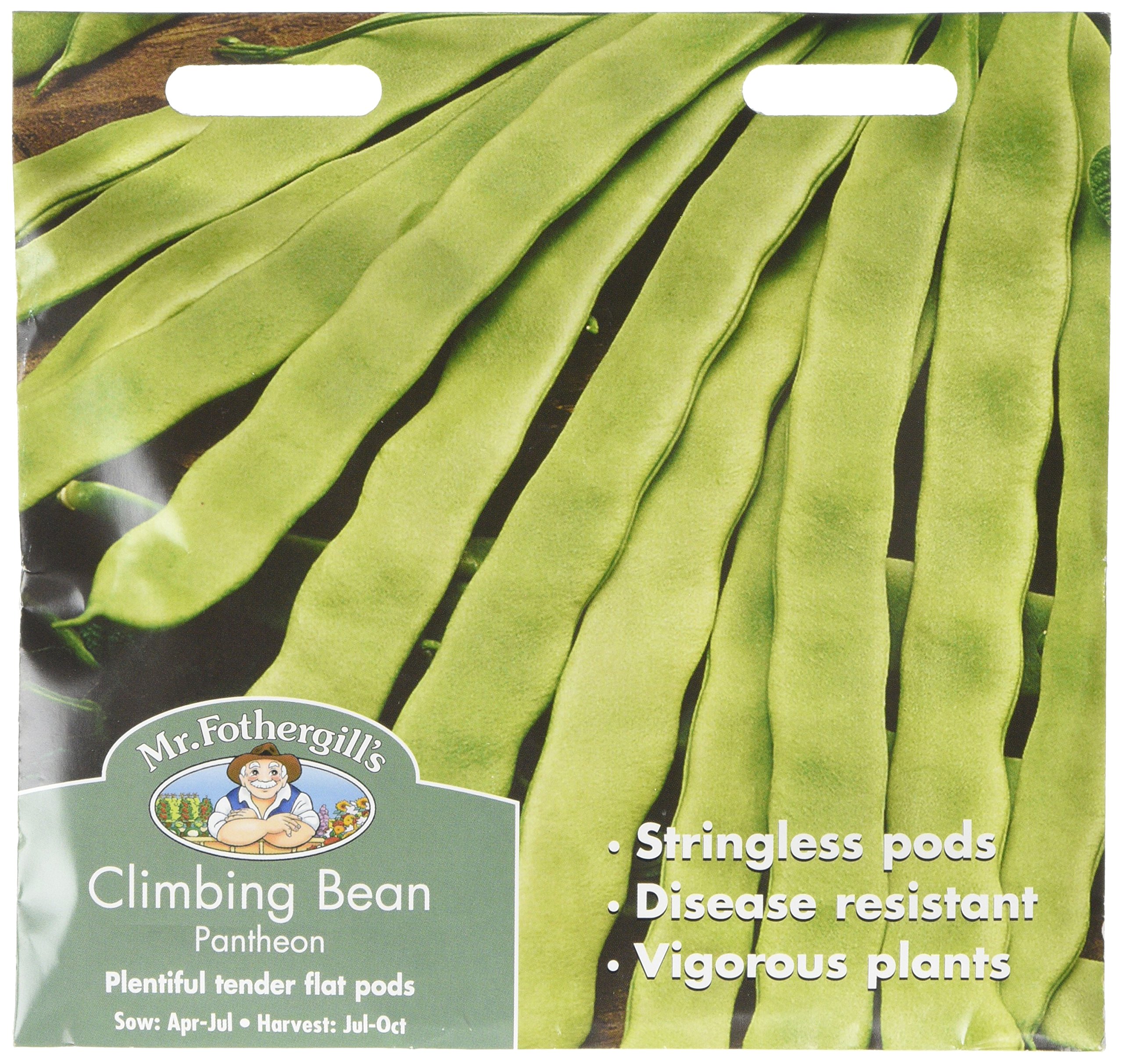 Mr Fothergill?s Seeds Ltd 24343 Mr Fothergill's Climbing French Bean Pantheon, White