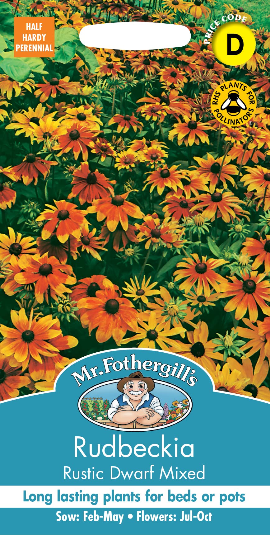 Mr. Fothergill's Rudbeckia Rustic Dwarf Mixed Flower Seeds, amber-gold