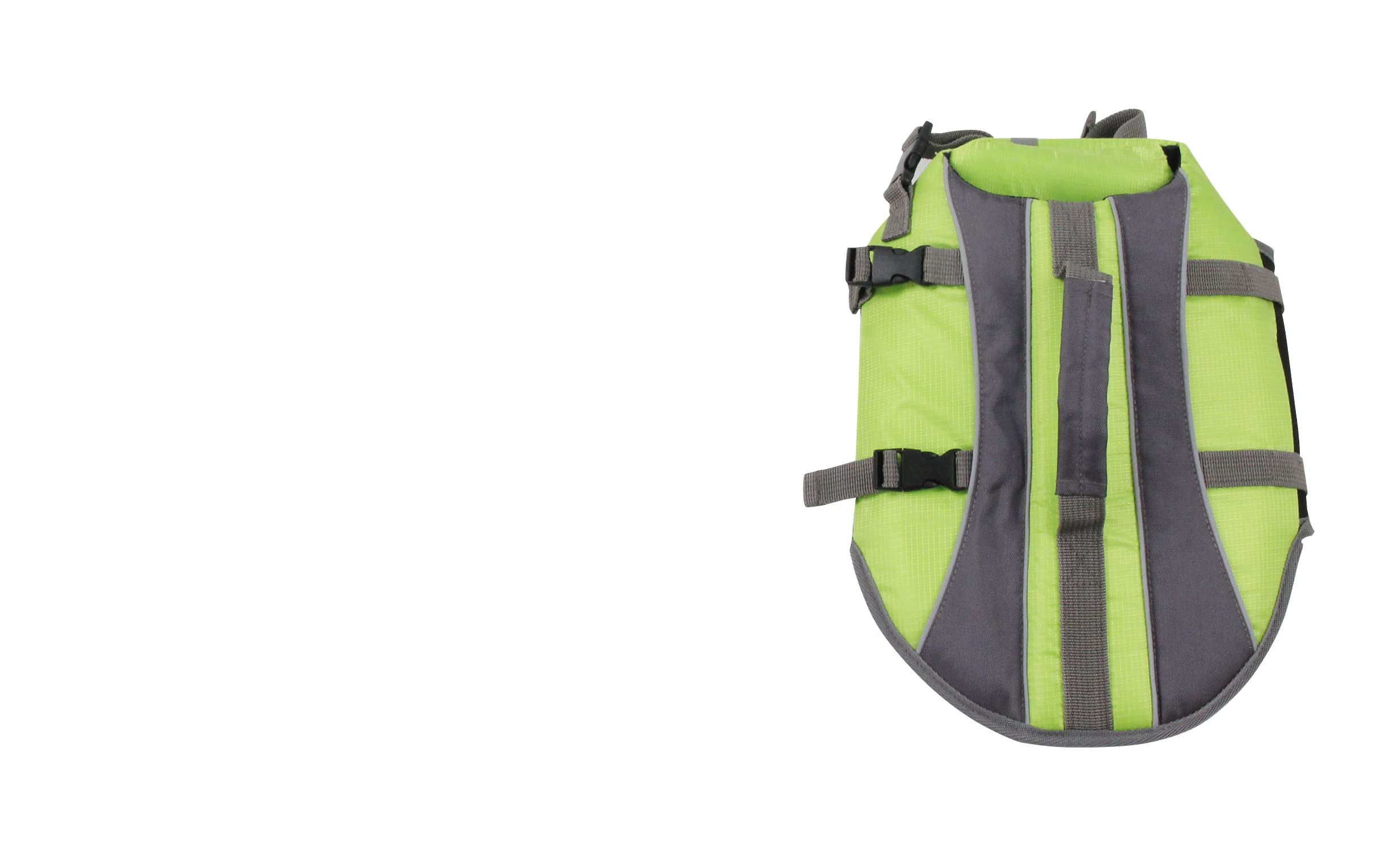 Pawise Training and Education 1 Unit 350 g