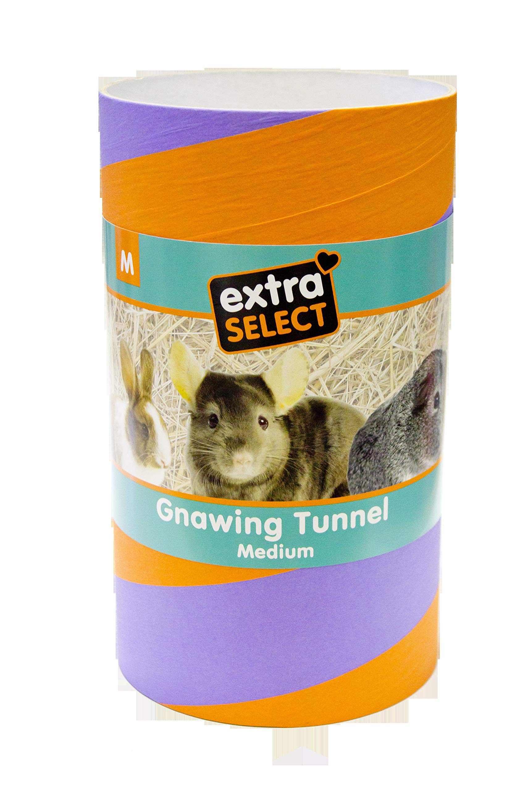 Extra Select Small Animal Gnawing Tunnel, Medium