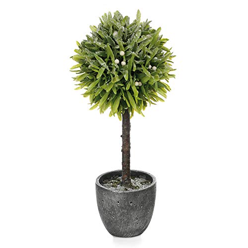 EUROCINSA Ref. 40471C50 Christmas Frosted Dead Reed Green Box of 1 Unit, 23 x 56 cm