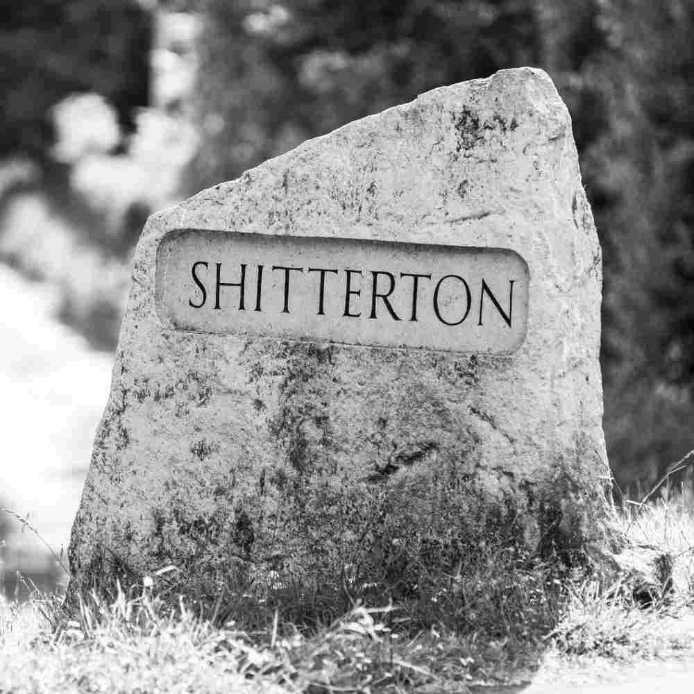 Lesser Spotted Britain Shitterton Art Print