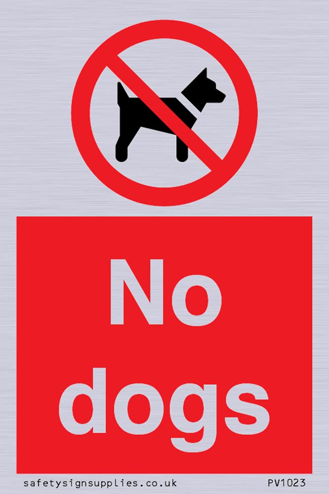 No dogs