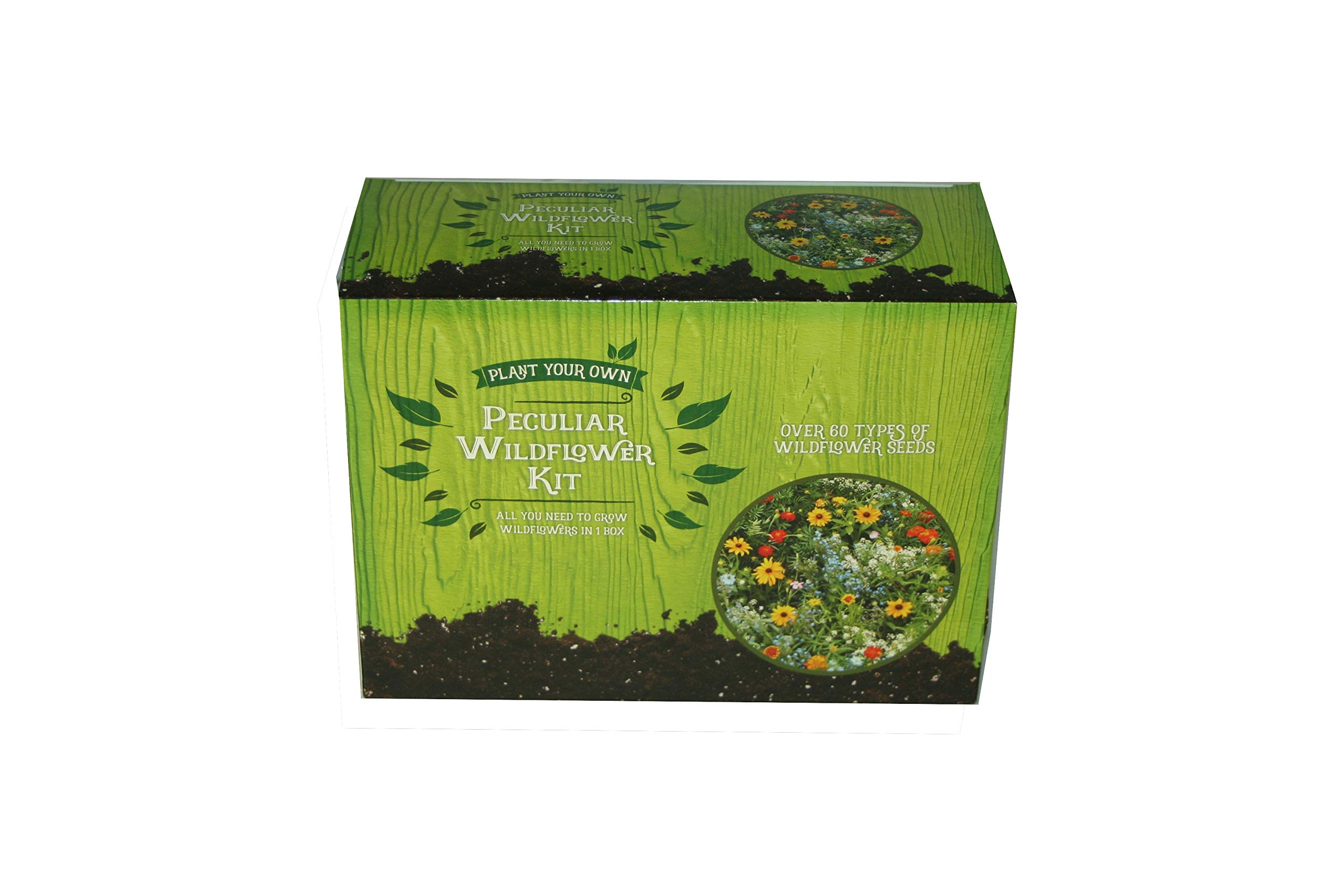 Peculiar Wildflower kit - Wild Flower Seed Mix Annual Meadow Plants Attracts Bees & Butterfly (250g Mais Granulate - 22.5g Wildflower Seeds)