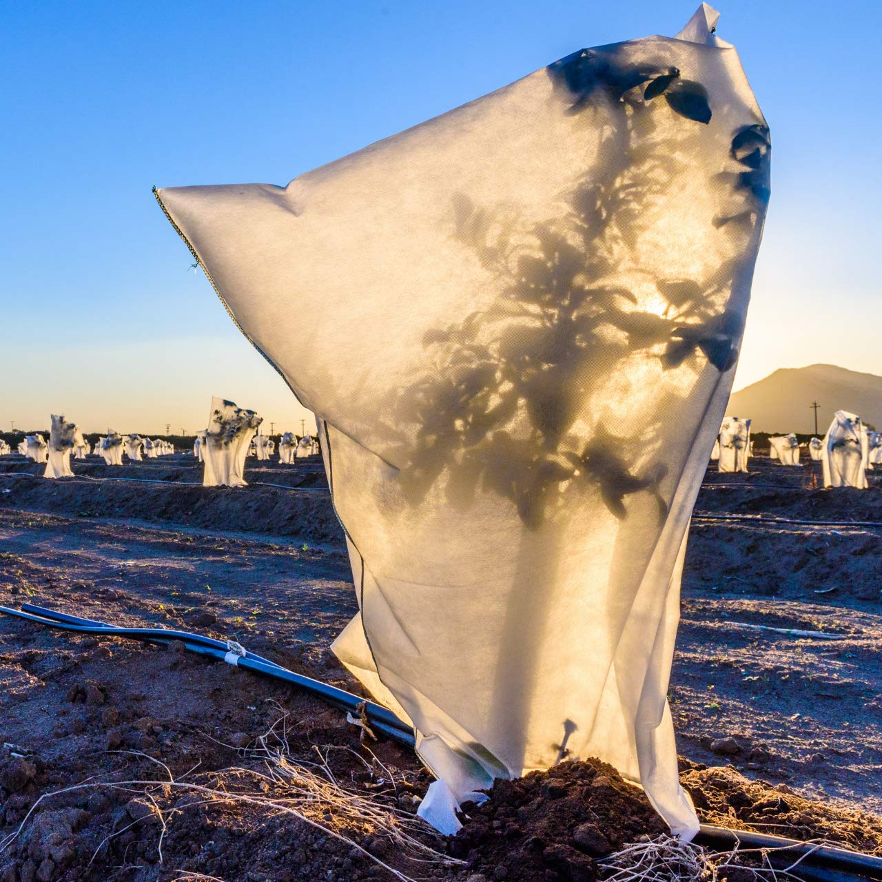 GARDENIX® Plant Protection, Frost Protection Cover, Fleece Winter Protection, with Drawstring 65x90 cm (2 pieces)