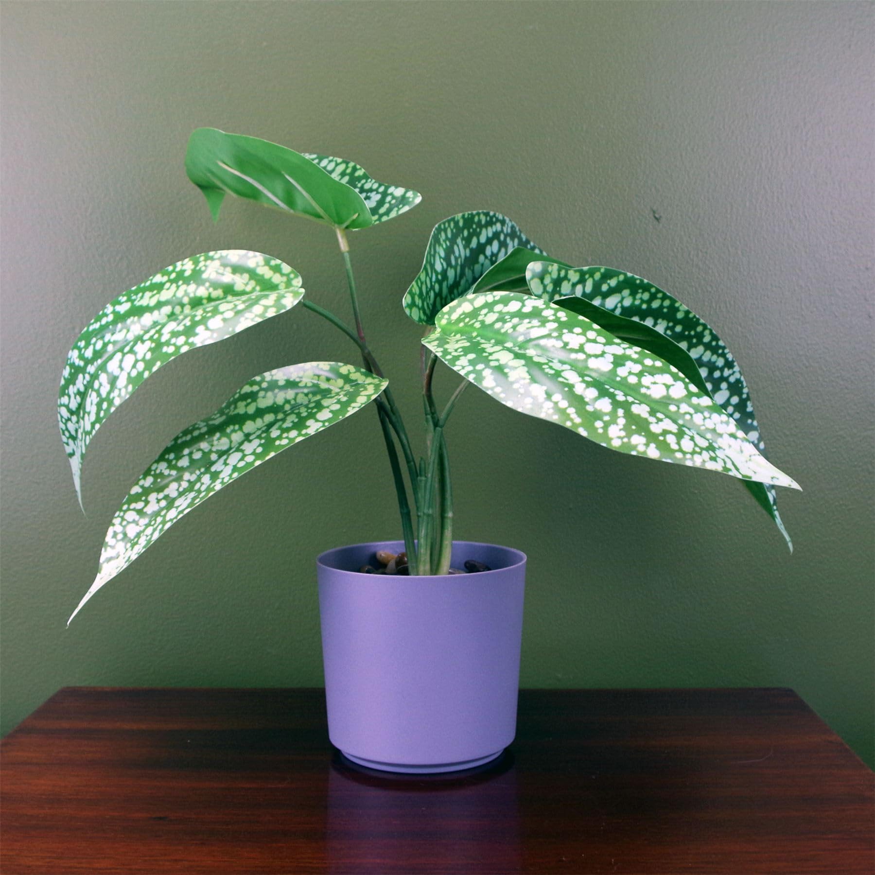 Botanik Artificial Office Plants