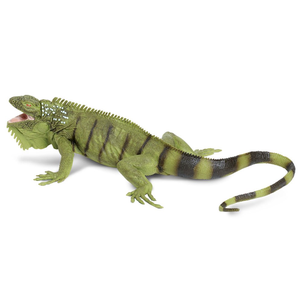 Safari Ltd. Iguana Figurine - Lifelike 11" Model Figure - Educational Toy for Boys, Girls, and Kids Ages 3+