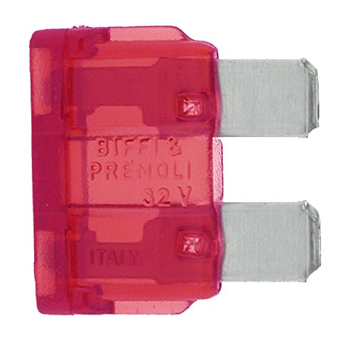 GREENSTAR - Red Standard Protection Fuse - 10A - Easy Installation - Compatible with Various Electrical Systems