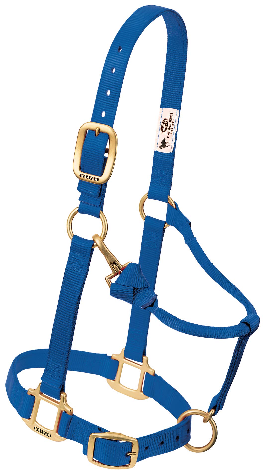 Weaver Leather Original Adjustable Nylon Horse Halter, Yearling, Blue