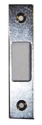 Strike Plate