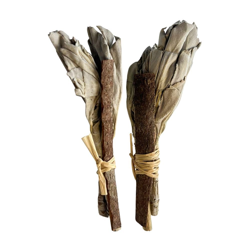 VIE Mini Smudge Cluster, White Sage with Cinnamon 4", Pack of 2