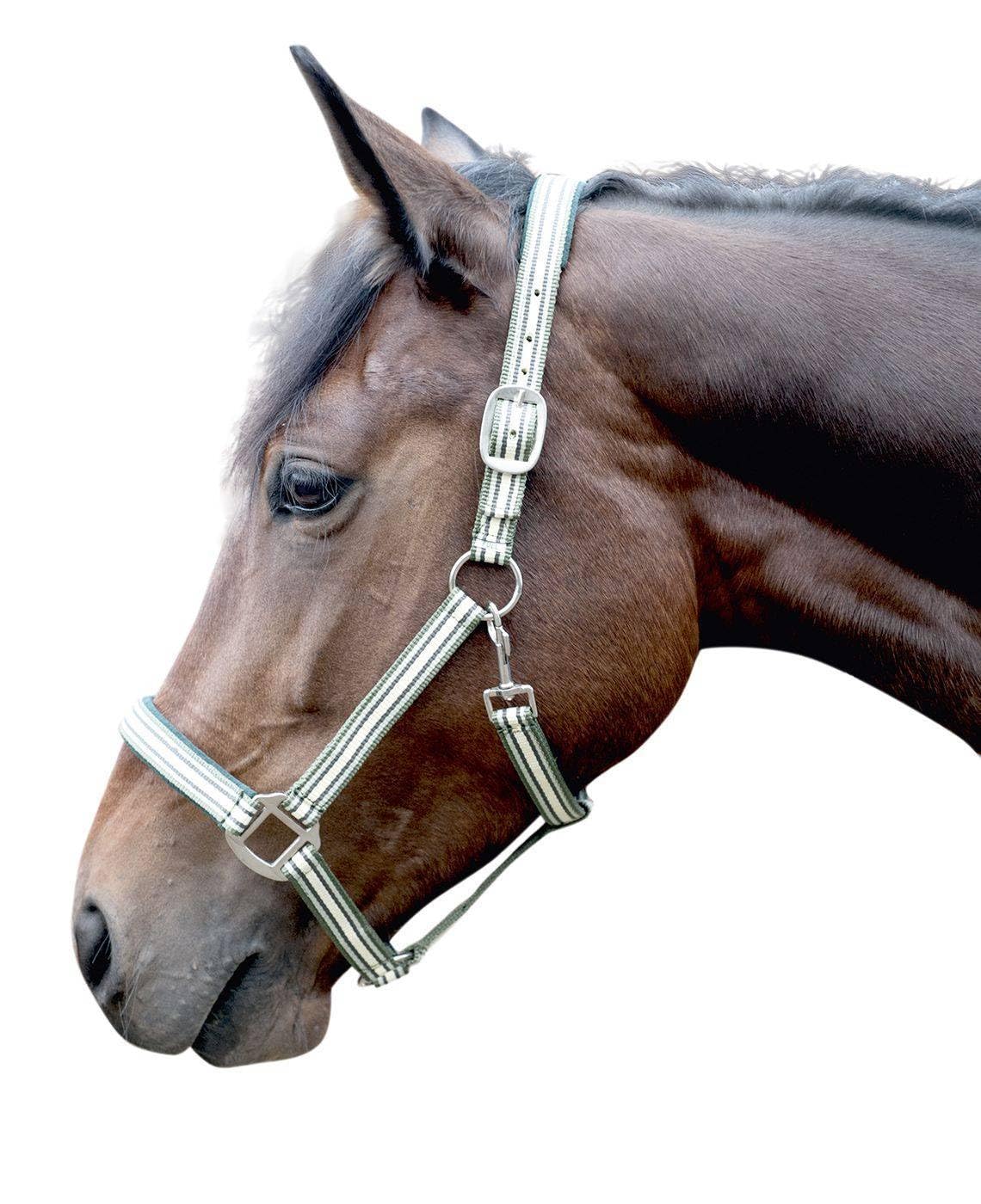 Hkm Pony Dream Sweatshirt Dunkelblau 140