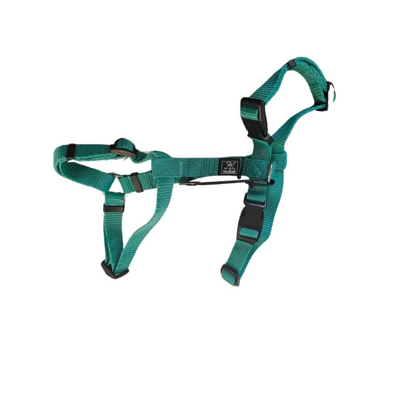 Dog Harness | Numbell | Nylon Turquoise | Size M-L